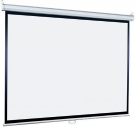 Экран Lumien 180x180см Eco Picture LEP-100108 1:1 настенно-потолочный рулонный