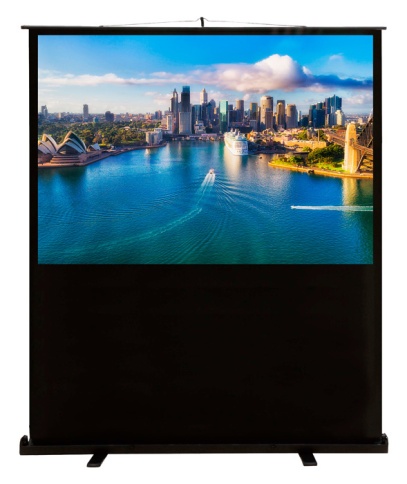 Экран Cactus 120x160см FloorCompactExpert CS-PSFLCE-160X120 4:3 напольный рулонный фото 1