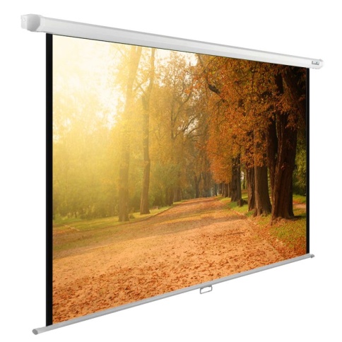 Экран Cactus 125x200см WallExpert CS-PSWE-200x125-WT 16:10 настенно-потолочный рулонный фото 1