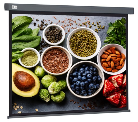 Экран Cactus 150x150см Wallscreen CS-PSW-150X150-SG 1:1 настенно-потолочный рулонный серый фото 1