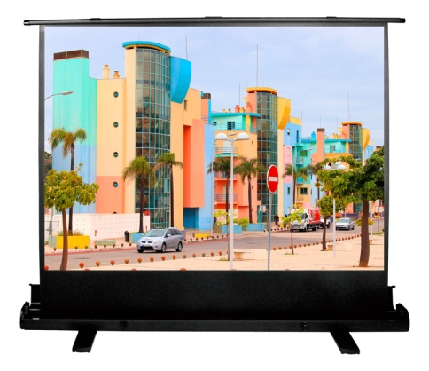 Экран Cactus 120x160см FloorExpert CS-PSFLE-160X120 4:3 напольный рулонный фото 1