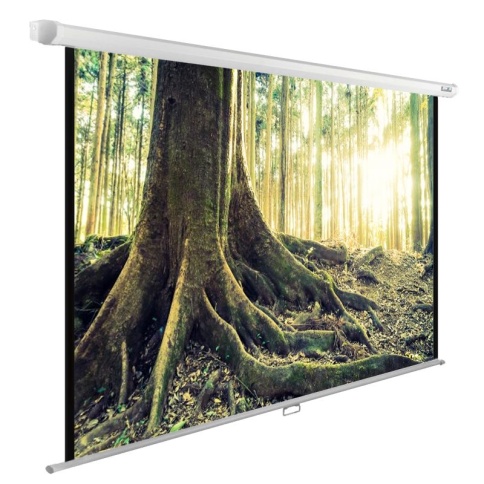 Экран Cactus 220x220см WallExpert CS-PSWE-220x220-WT 1:1 настенно-потолочный рулонный фото 1