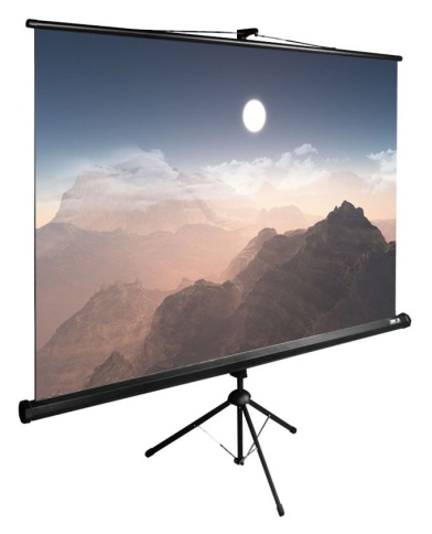 Экран Cactus 180x180см TriExpert CS-PSTE-180x180-BK 1:1 напольный рулонный черный фото 1