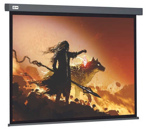 Экран Cactus 213x213см Wallscreen CS-PSW-213X213-SG 1:1 настенно-потолочный рулонный серый фото 1