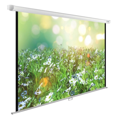 Экран Cactus 200x200см WallExpert CS-PSWE-200x200-WT 1:1 настенно-потолочный рулонный фото 1