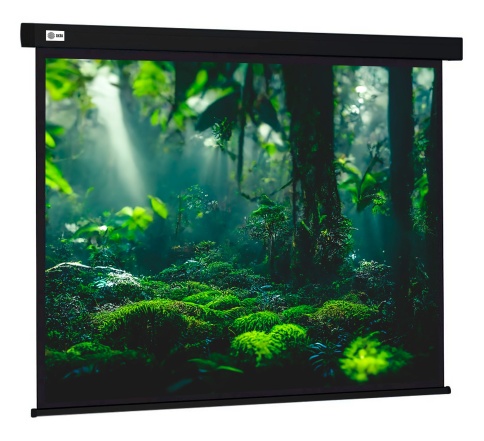 Экран Cactus 213x213см Wallscreen CS-PSW-213X213-BK 1:1 настенно-потолочный рулонный черный фото 1