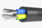 фото 1