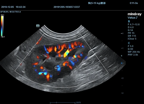 Ветеринарный УЗИ-сканер Mindray Vetus 7 фото 5