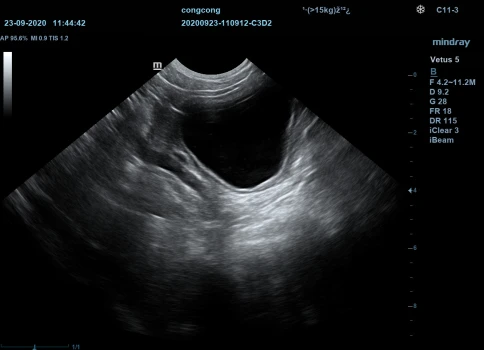 Ветеринарный УЗИ-сканер Mindray Vetus 5 exp фото 7
