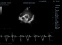 фото 14